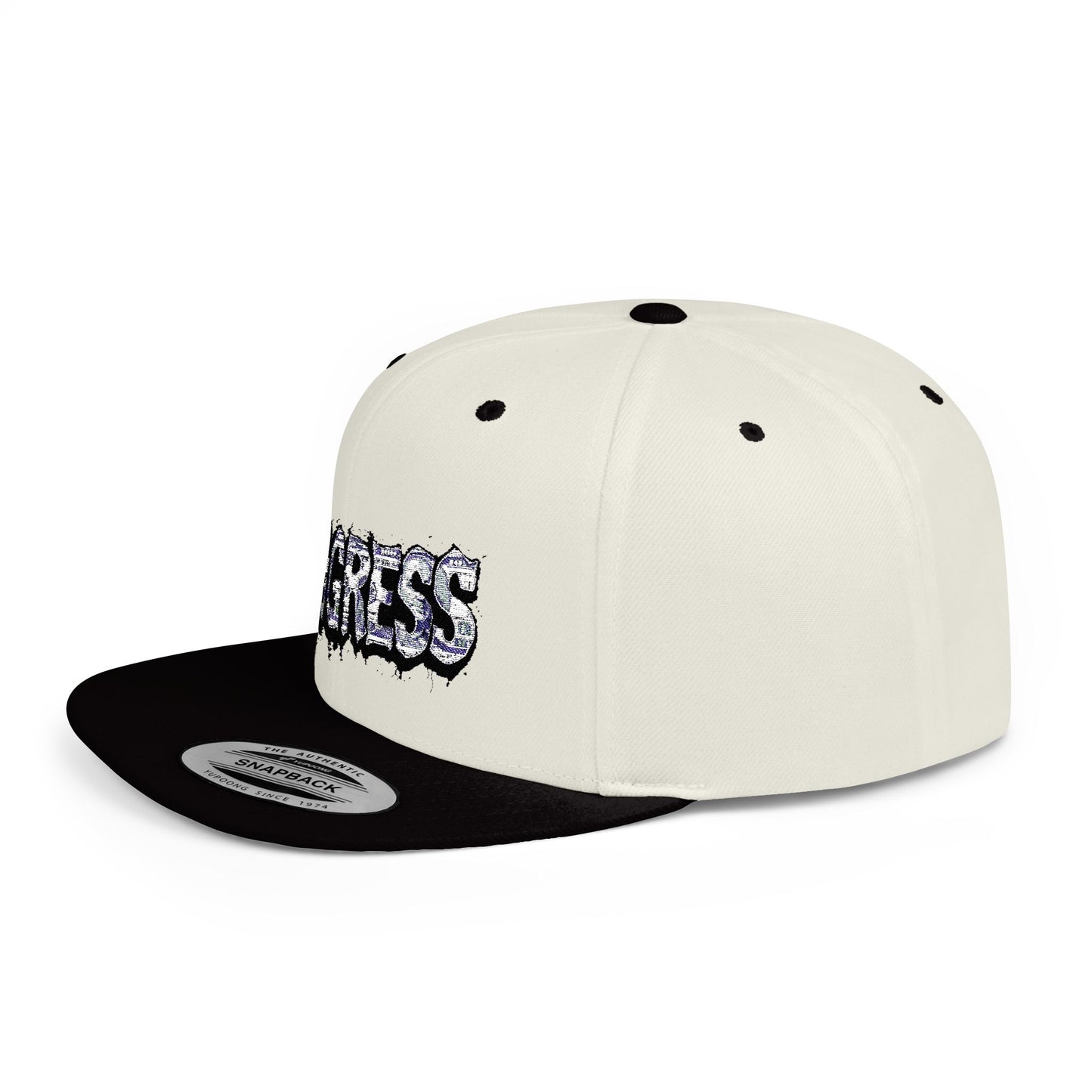 Snapback Cap - Progress Drip Money