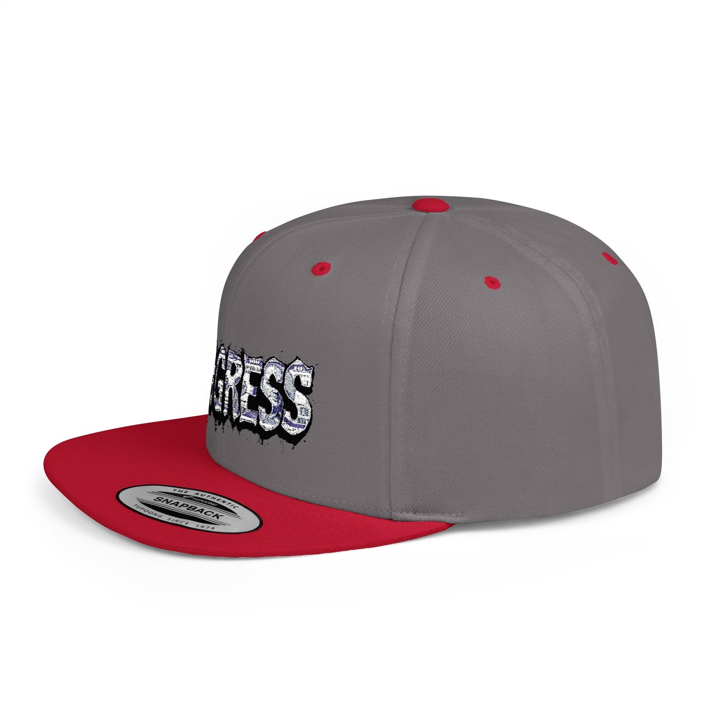 Snapback Cap - Progress Drip Money