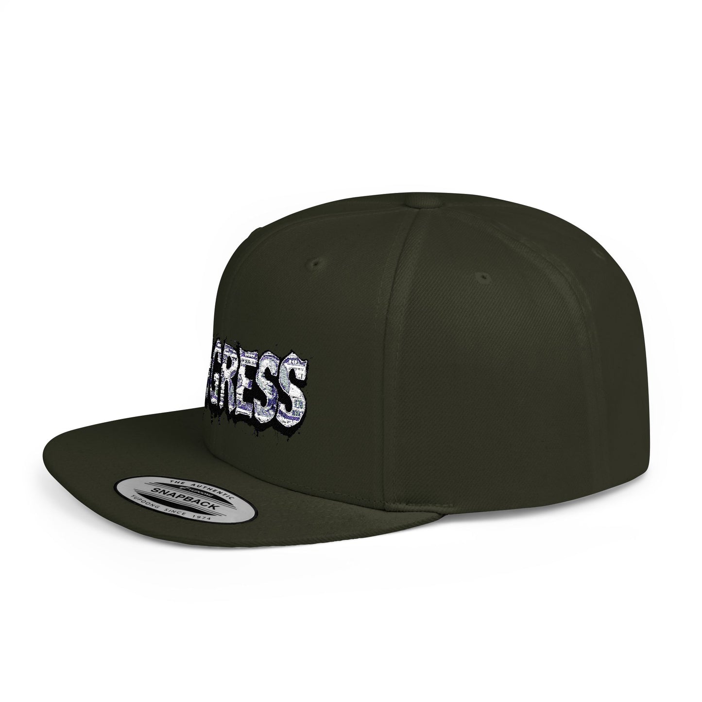 Snapback Cap - Progress Drip Money