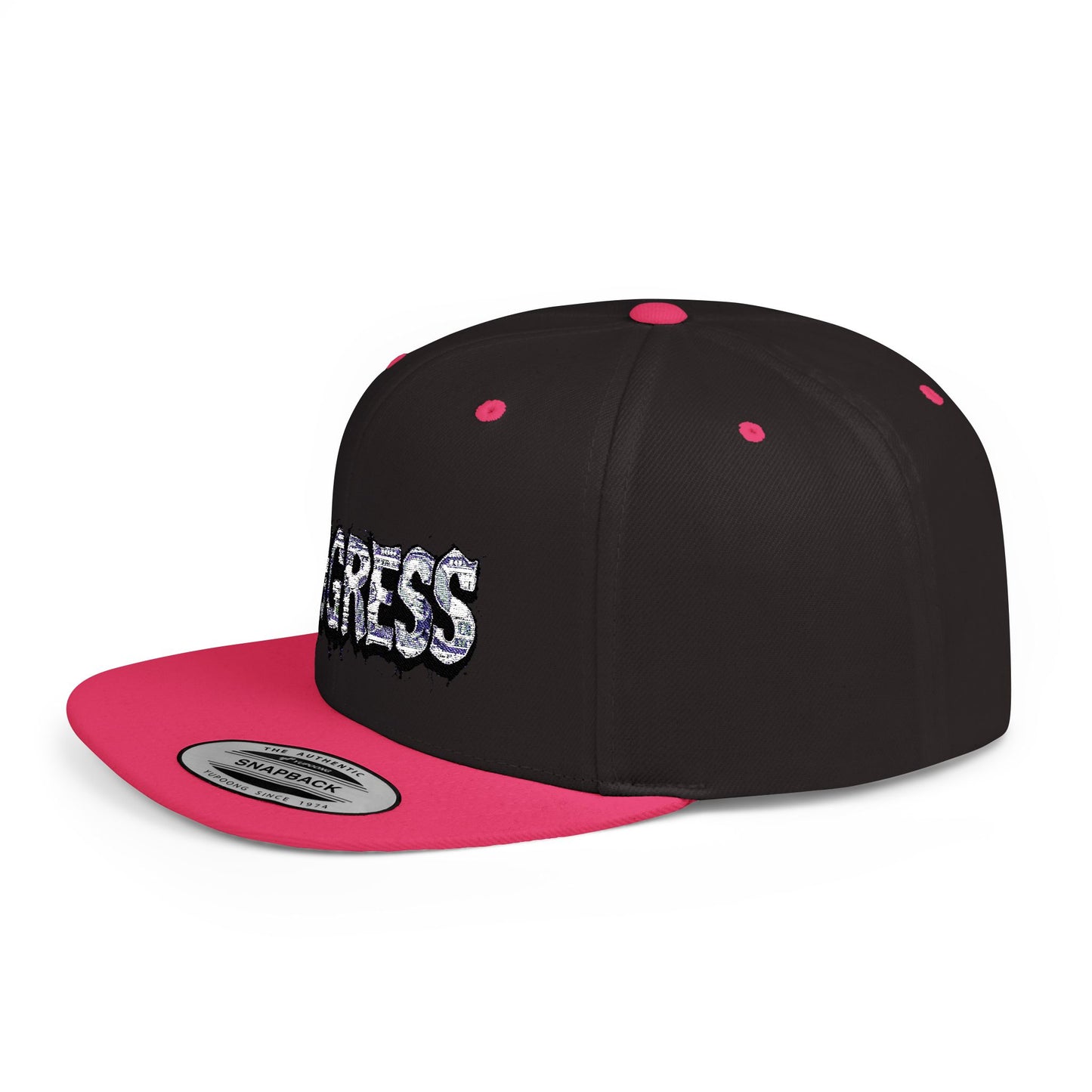 Snapback Cap - Progress Drip Money