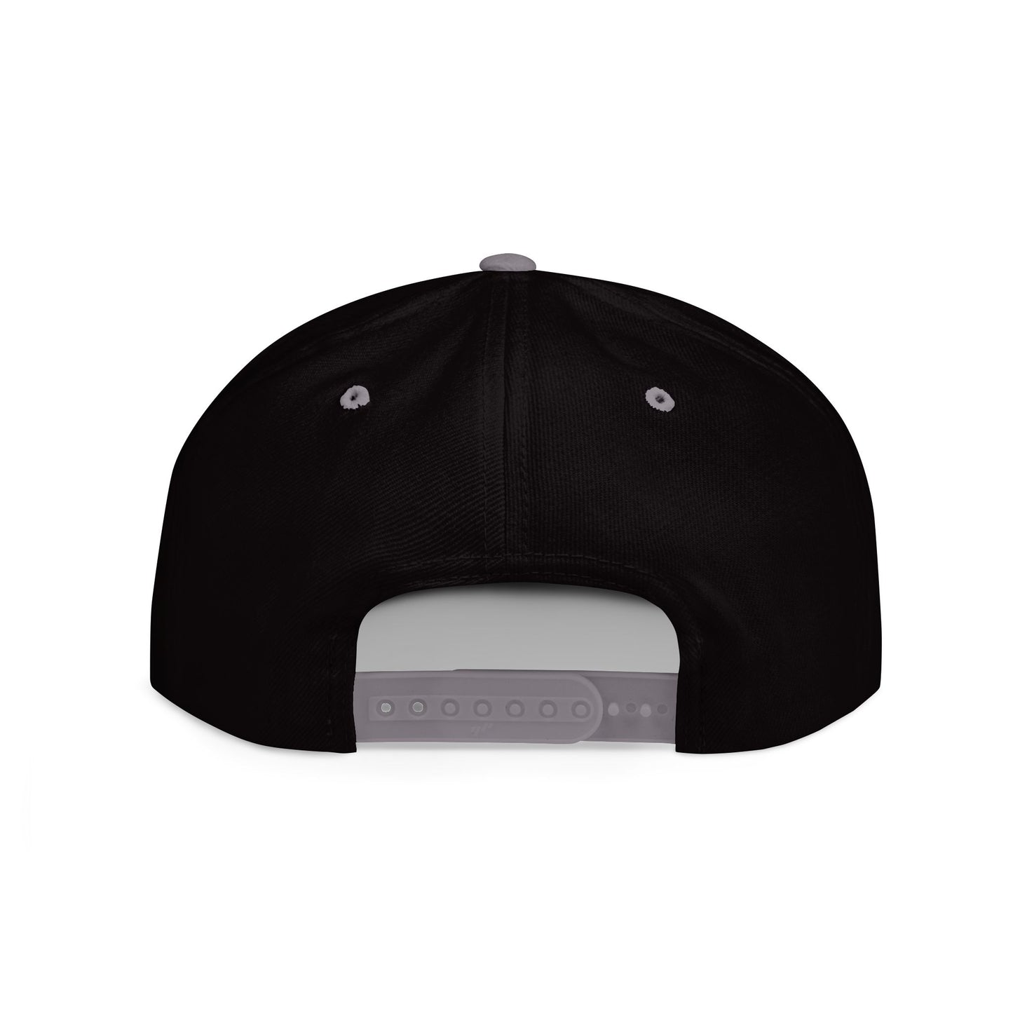 Snapback Cap - Progress Drip Money