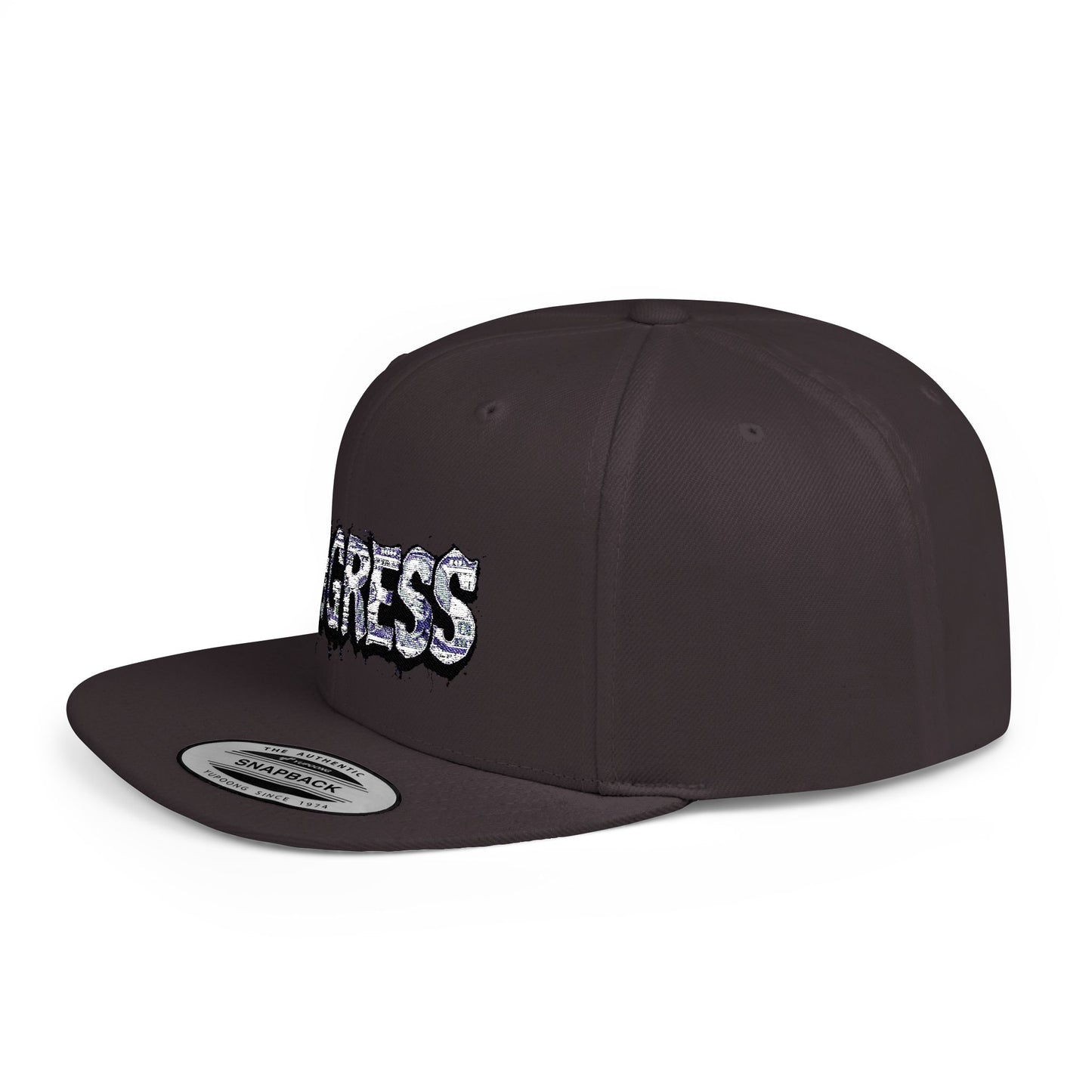 Snapback Cap - Progress Drip Money