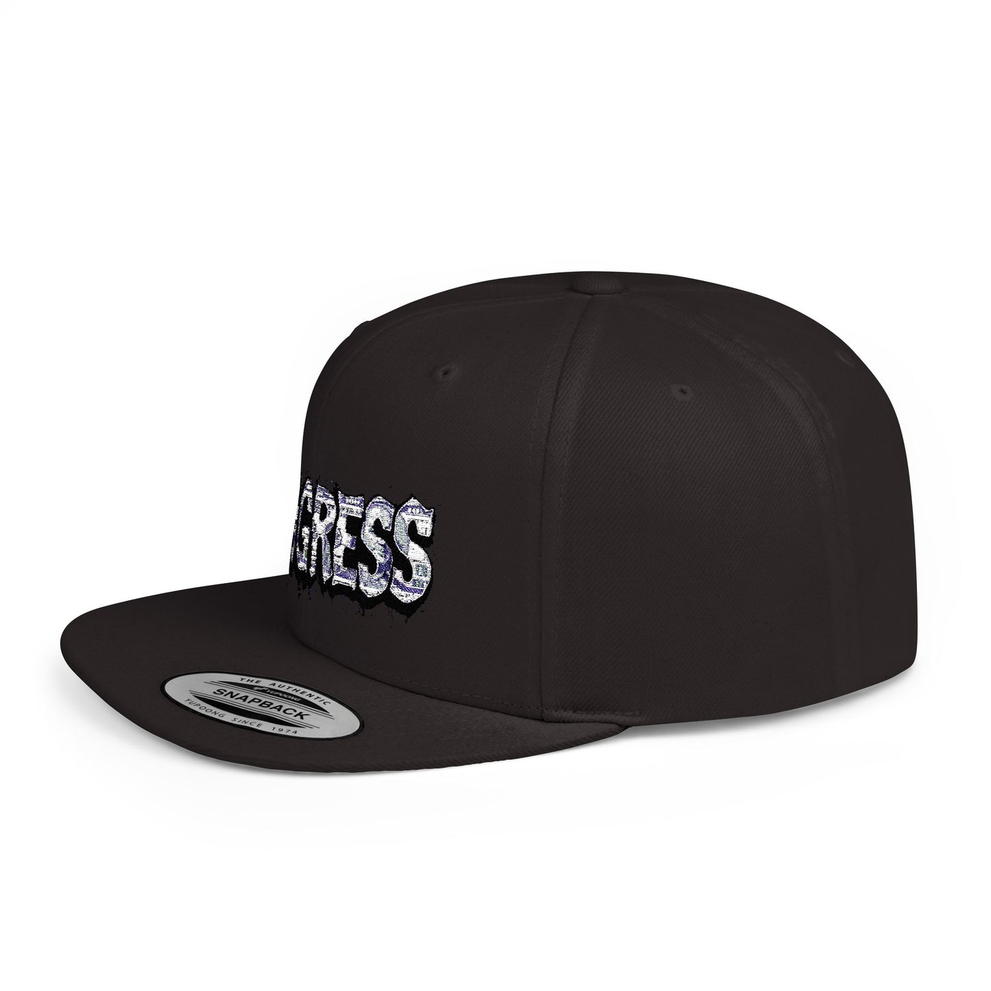 Snapback Cap - Progress Drip Money