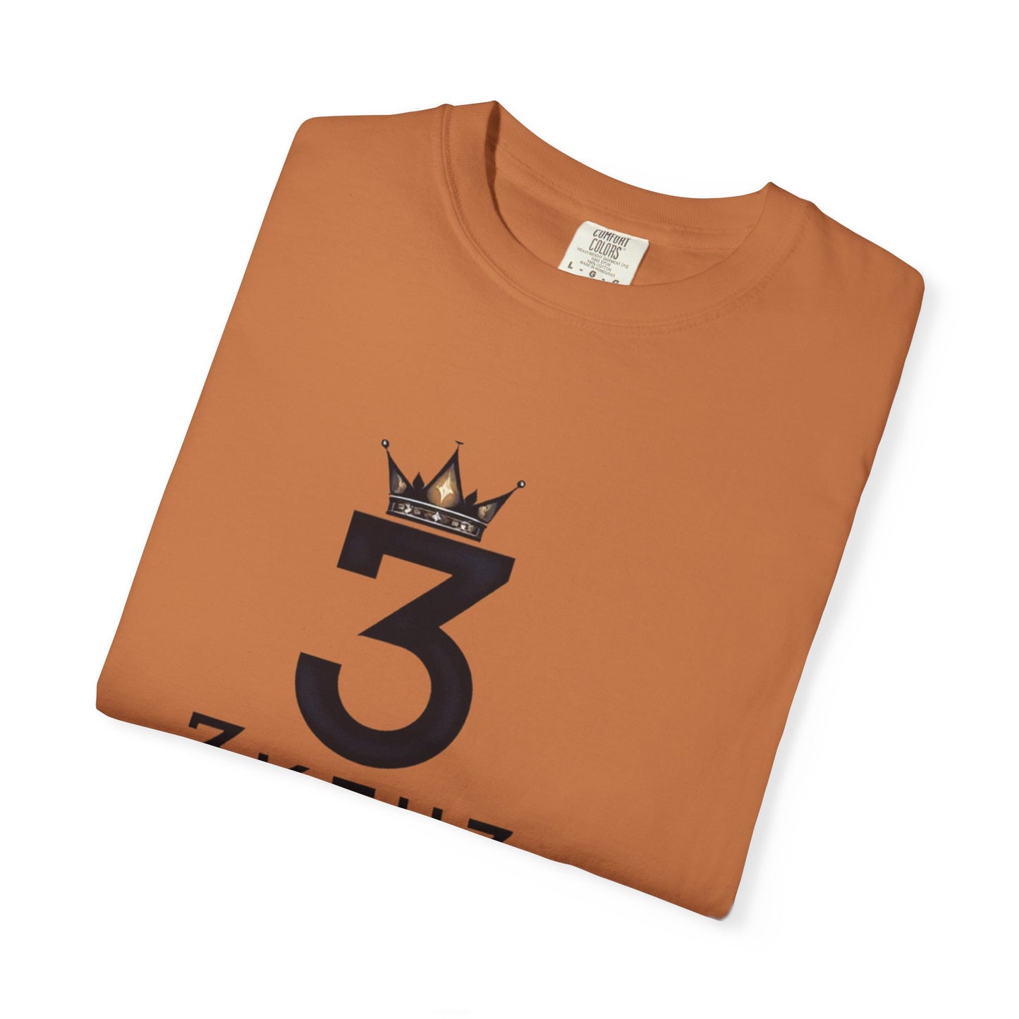 City Teddy Elevation T-Shirt