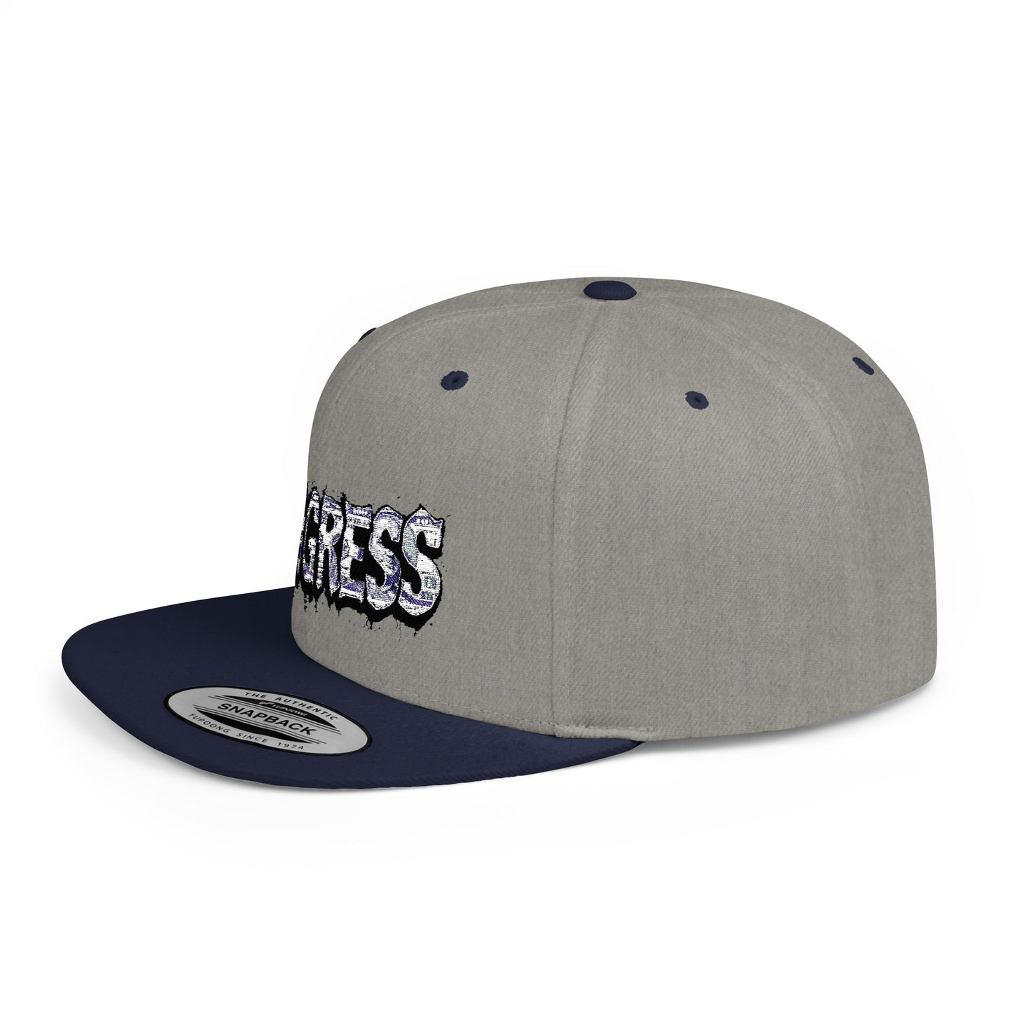 Snapback Cap - Progress Drip Money