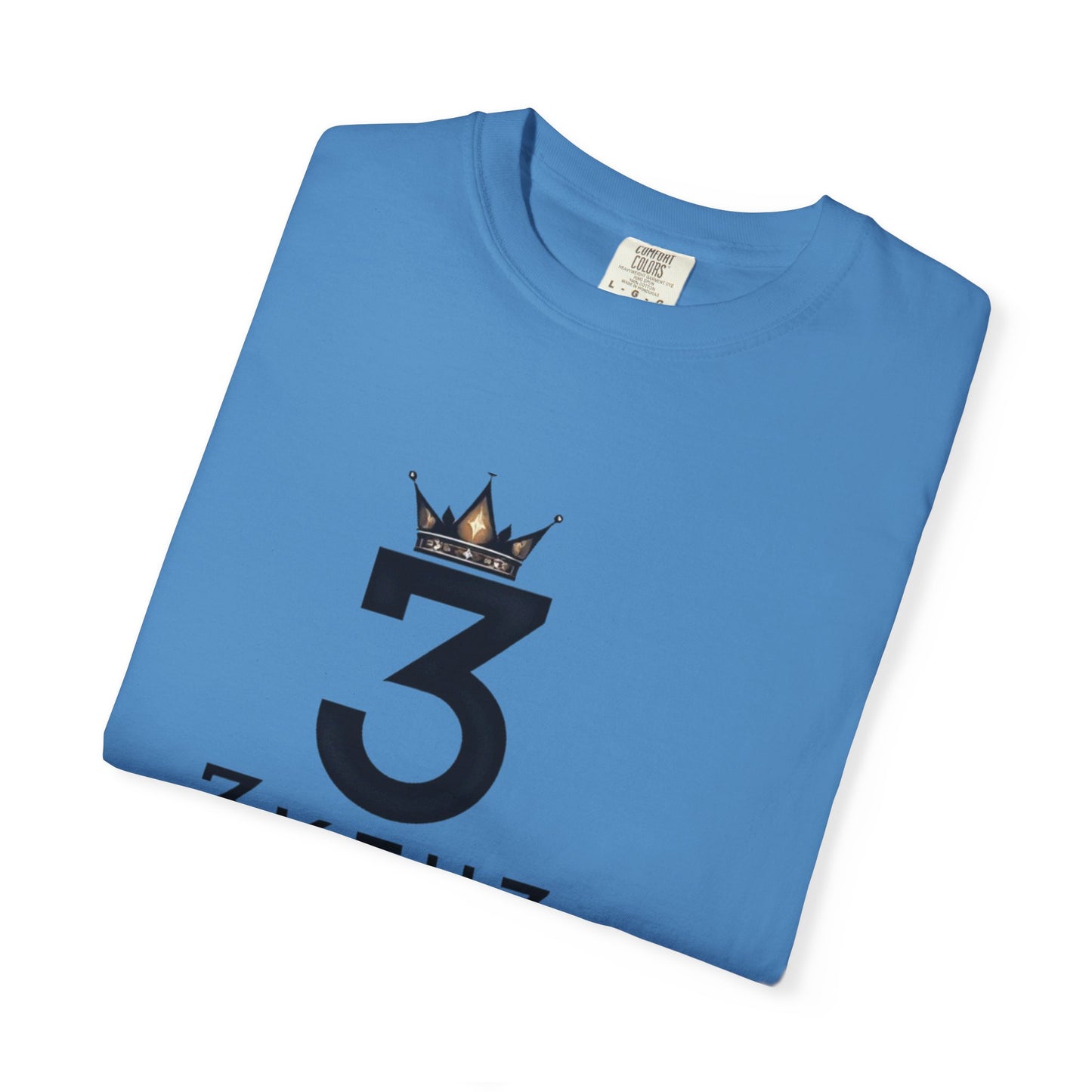 City Teddy Elevation T-Shirt