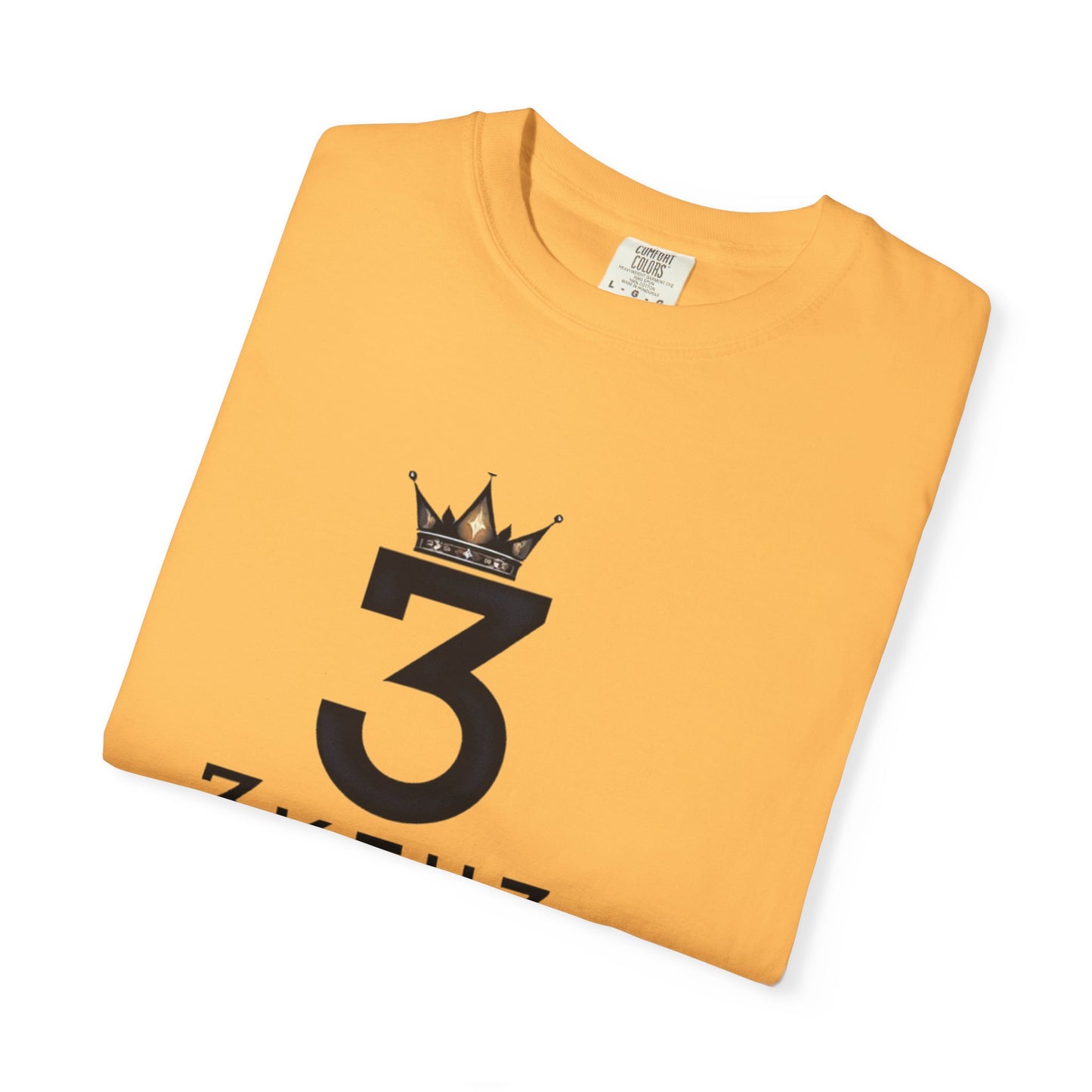 City Teddy Elevation T-Shirt