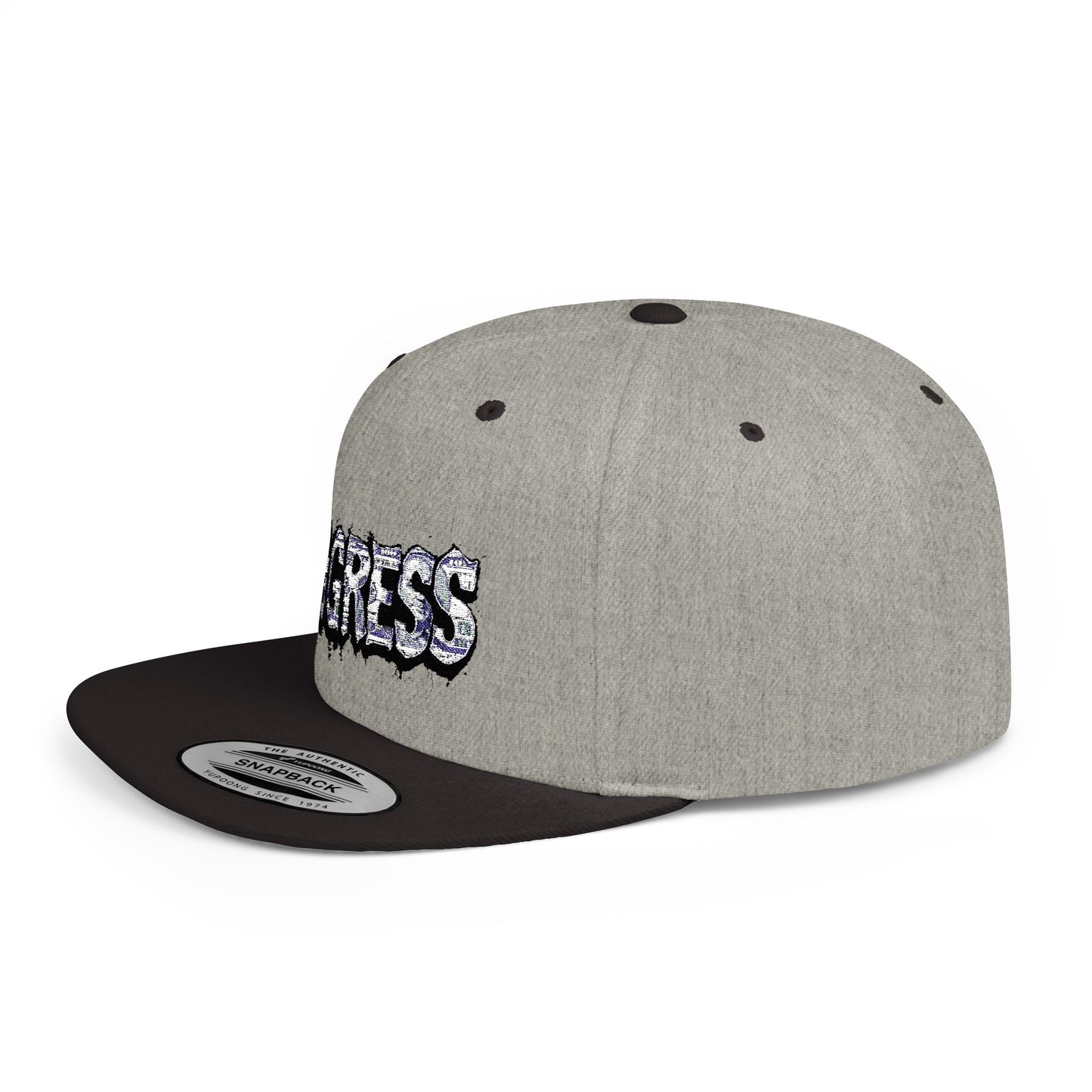 Snapback Cap - Progress Drip Money
