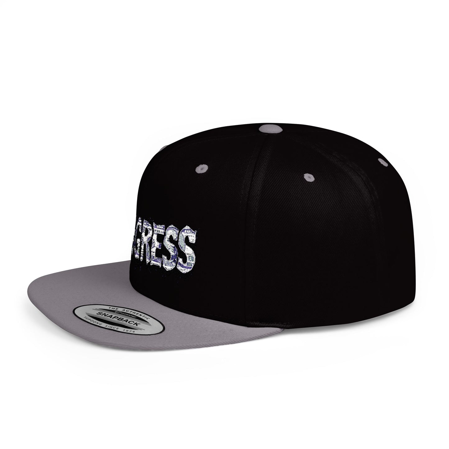 Snapback Cap - Progress Drip Money
