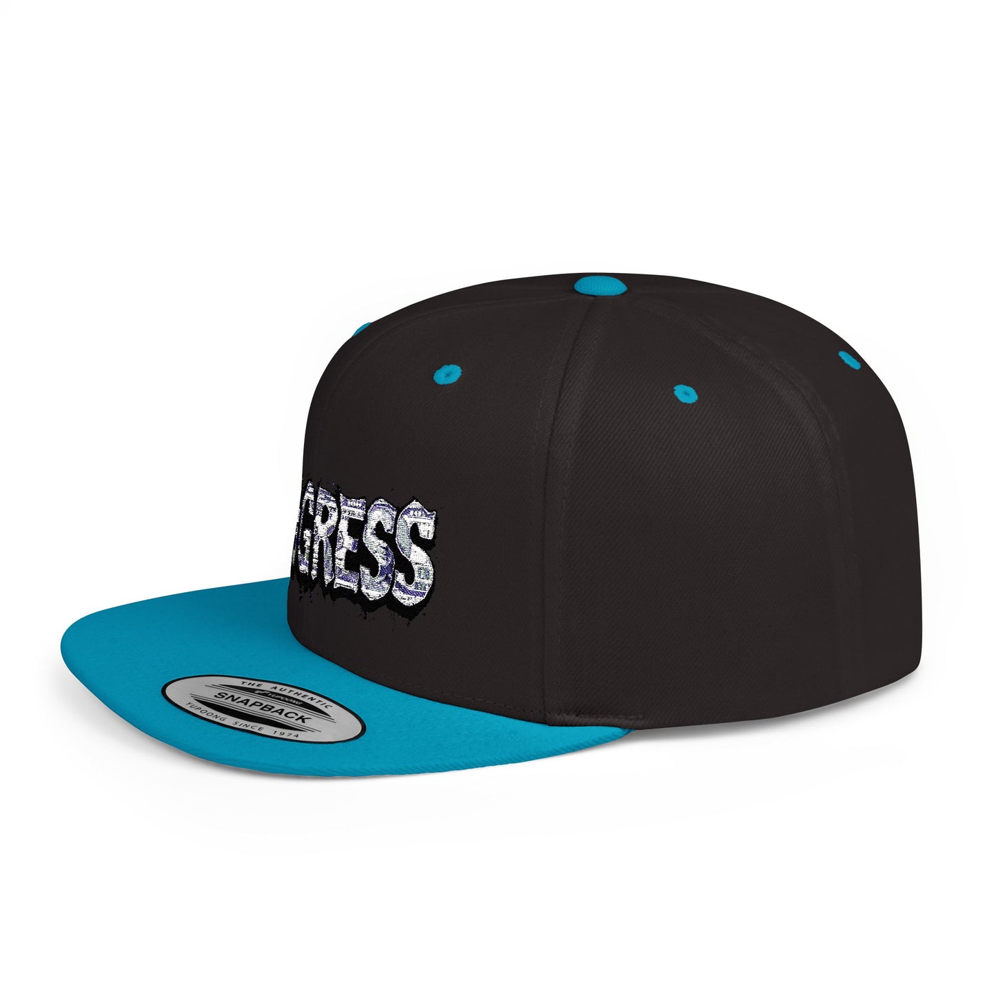 Snapback Cap - Progress Drip Money