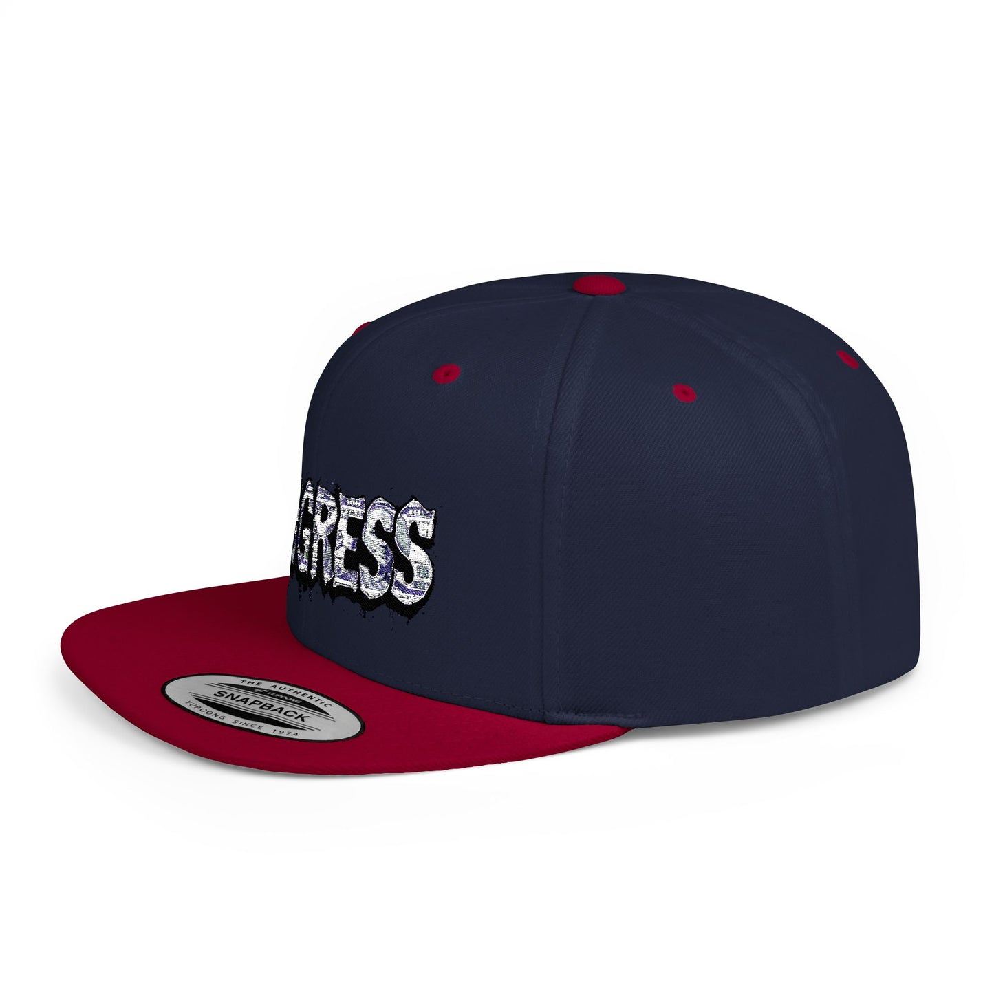 Snapback Cap - Progress Drip Money