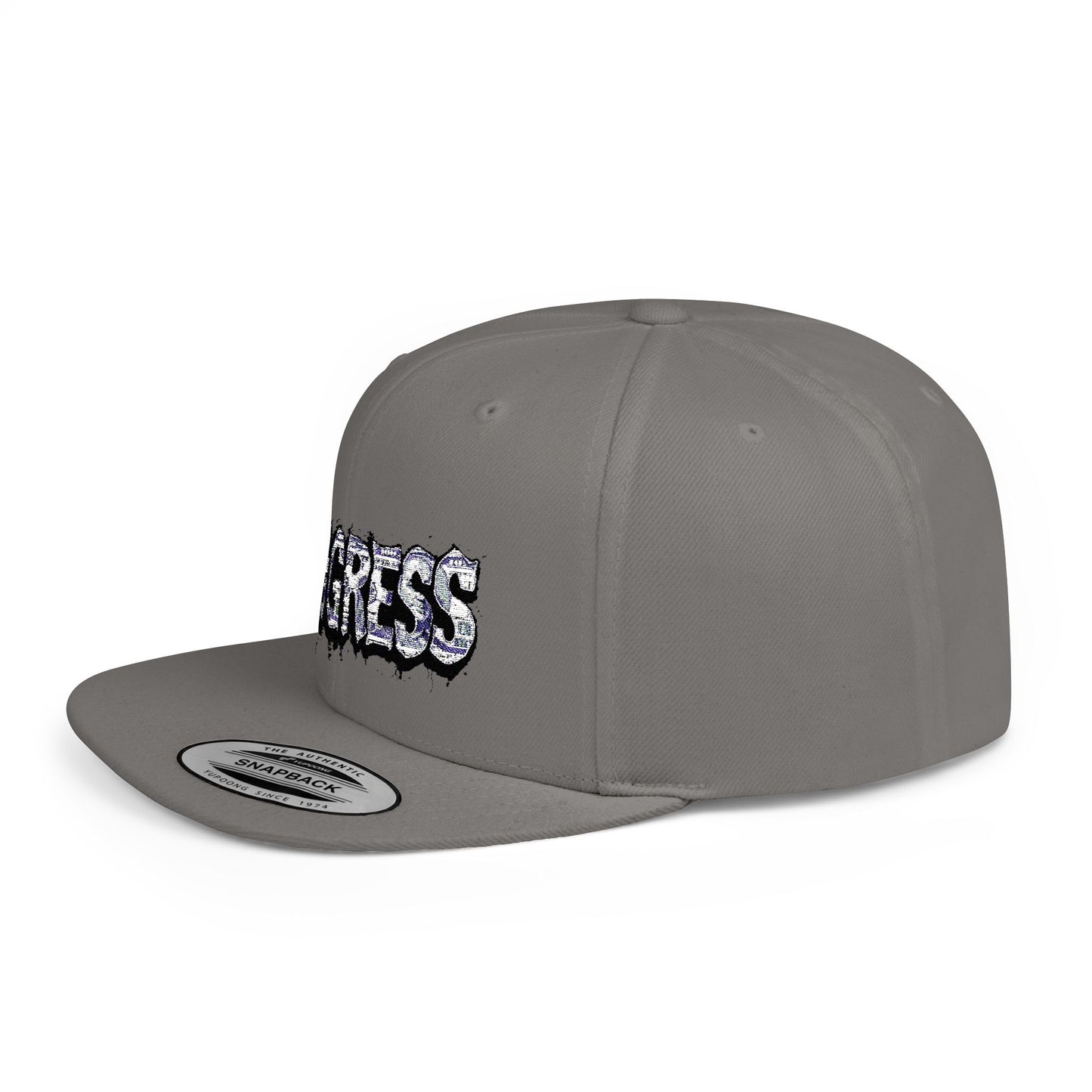 Snapback Cap - Progress Drip Money