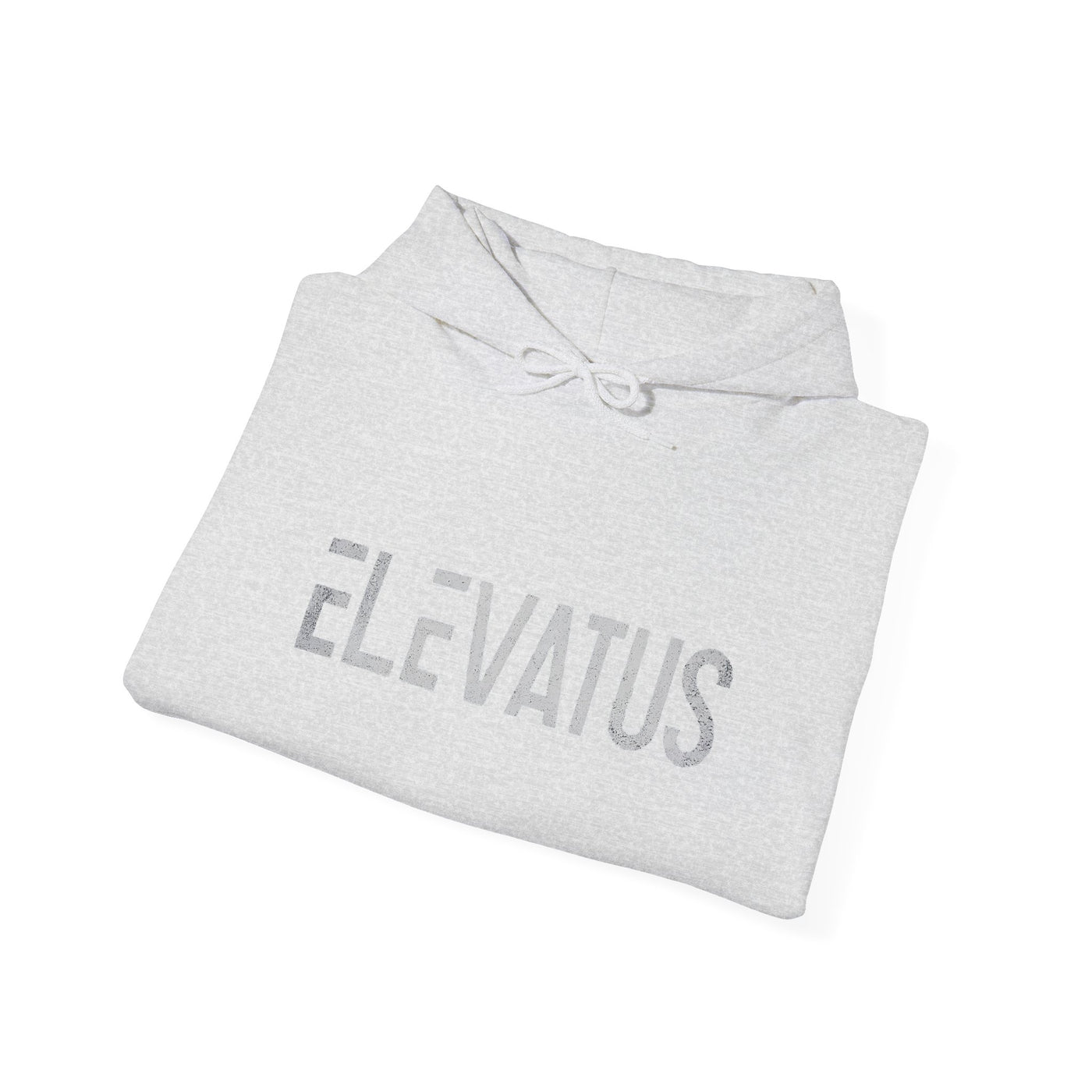 Lion Hoodie