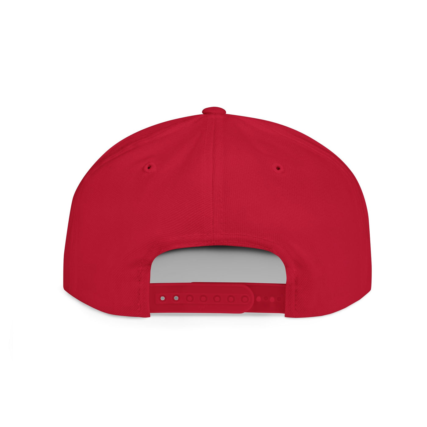 Snapback Cap - Progress Drip Money