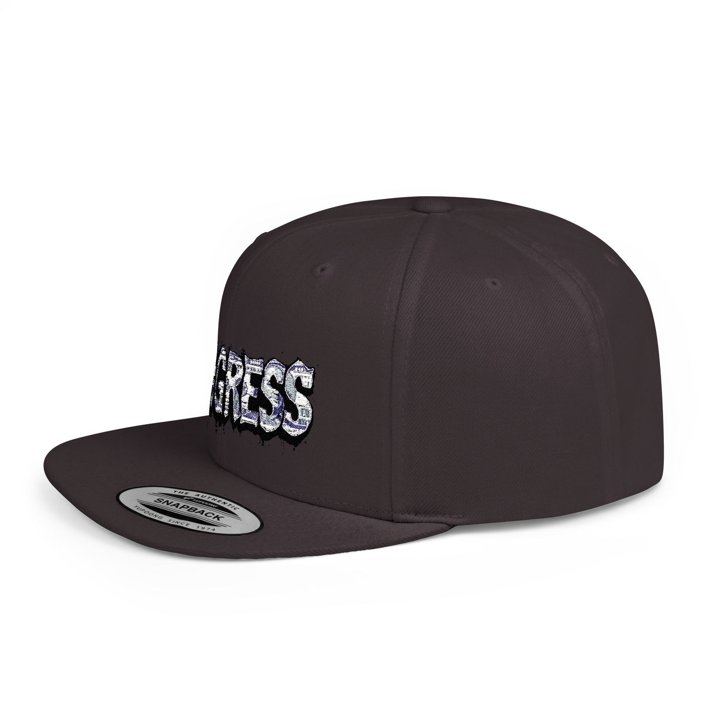 Snapback Cap - Progress Drip Money