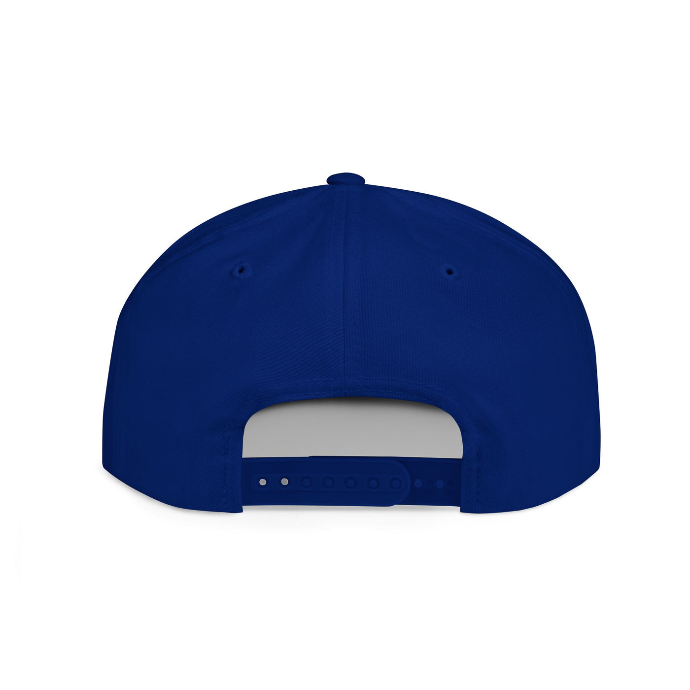 Snapback Cap - Progress Drip Money