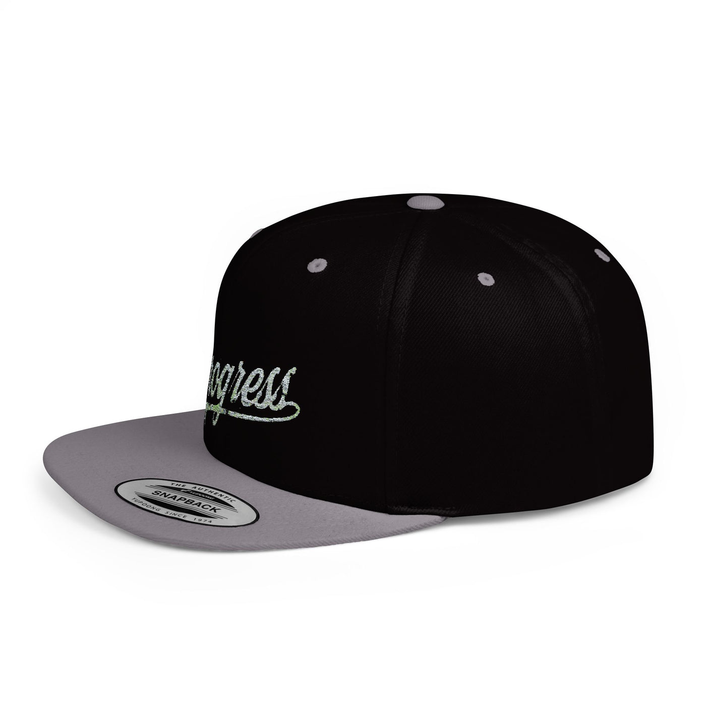Snapback Cap Progress Drip2