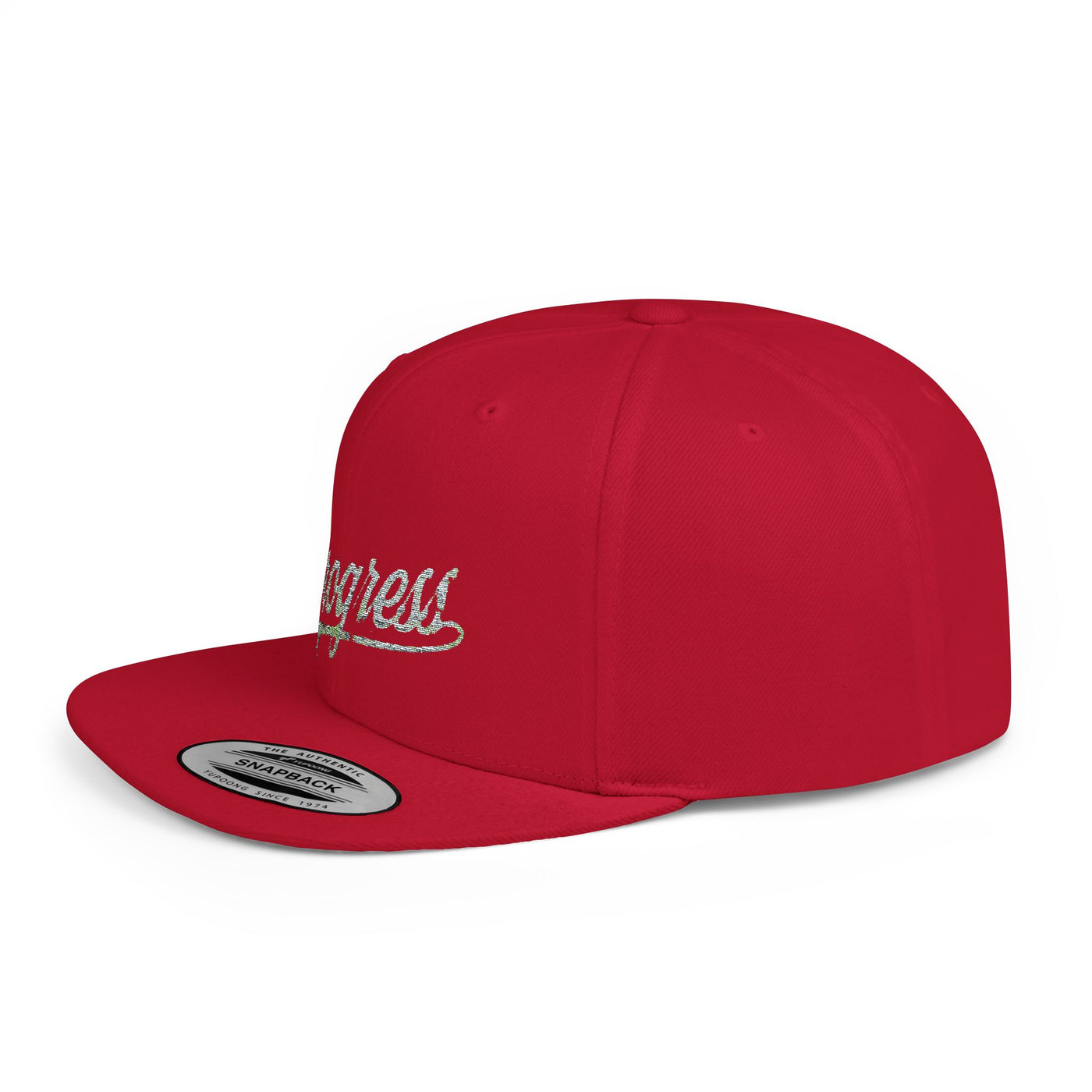 Snapback Cap Progress Drip2