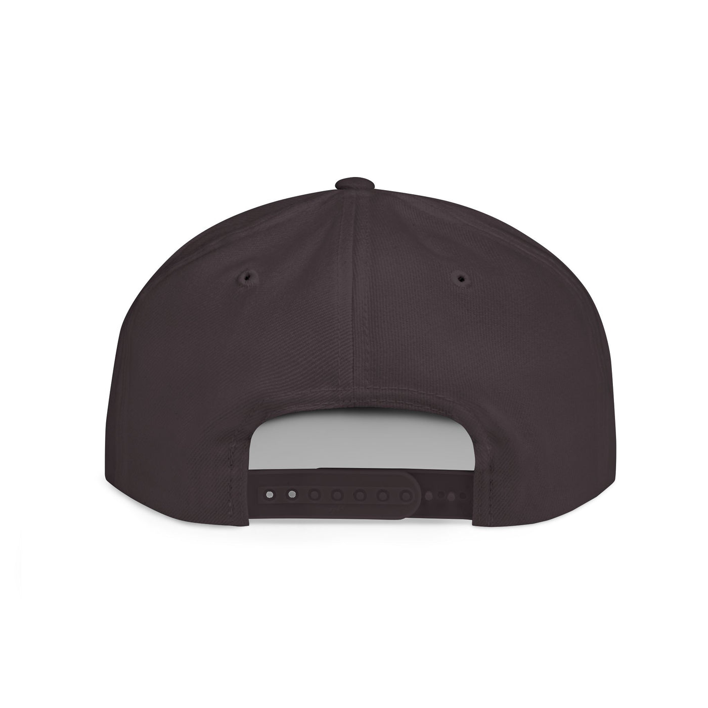 Snapback Cap - Progress Drip Money