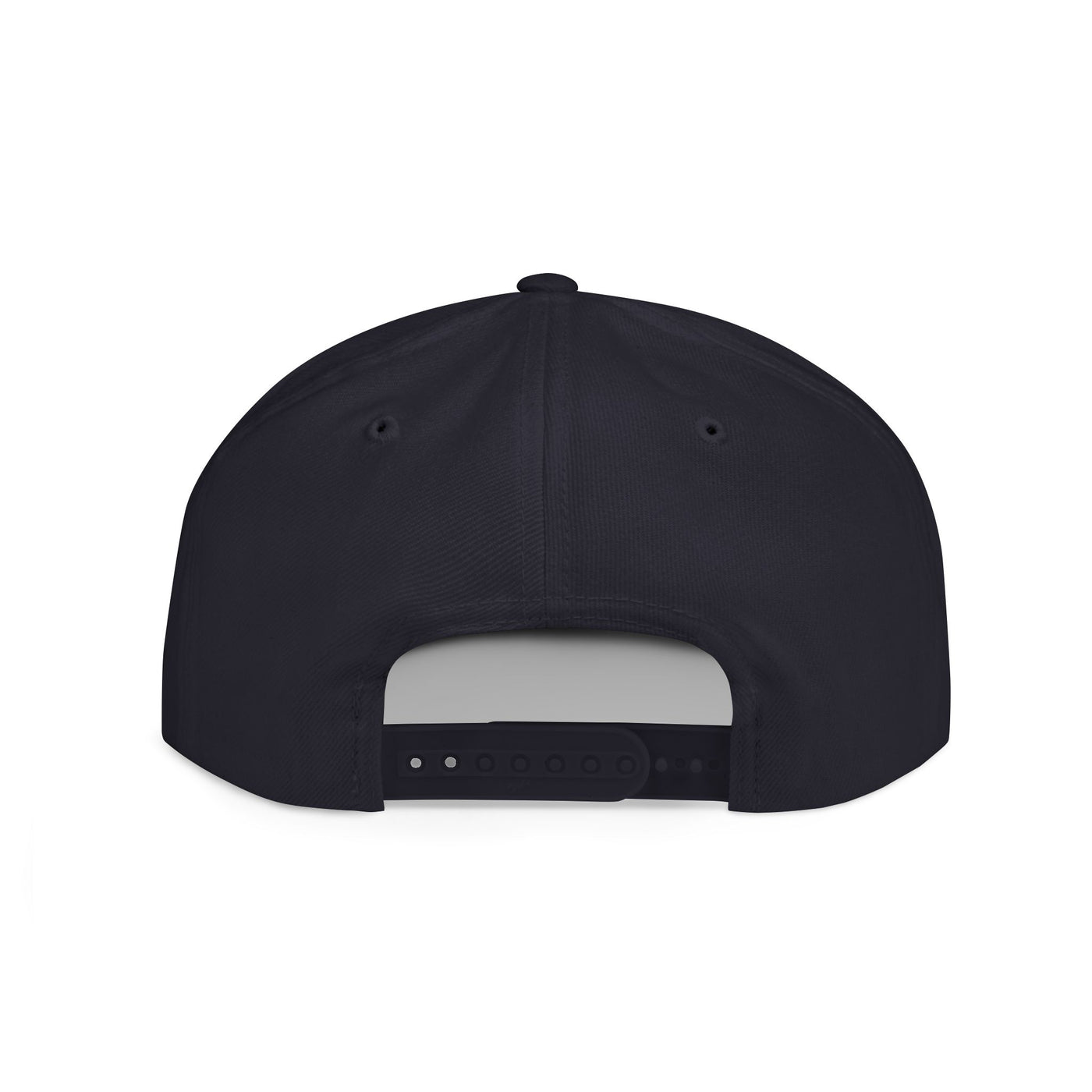 Snapback Cap - Progress Drip Money