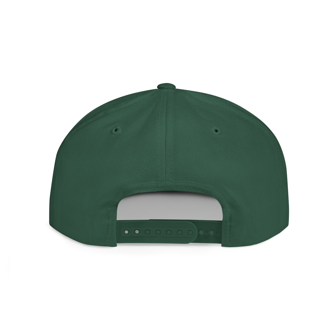 Snapback Cap Progress Drip2