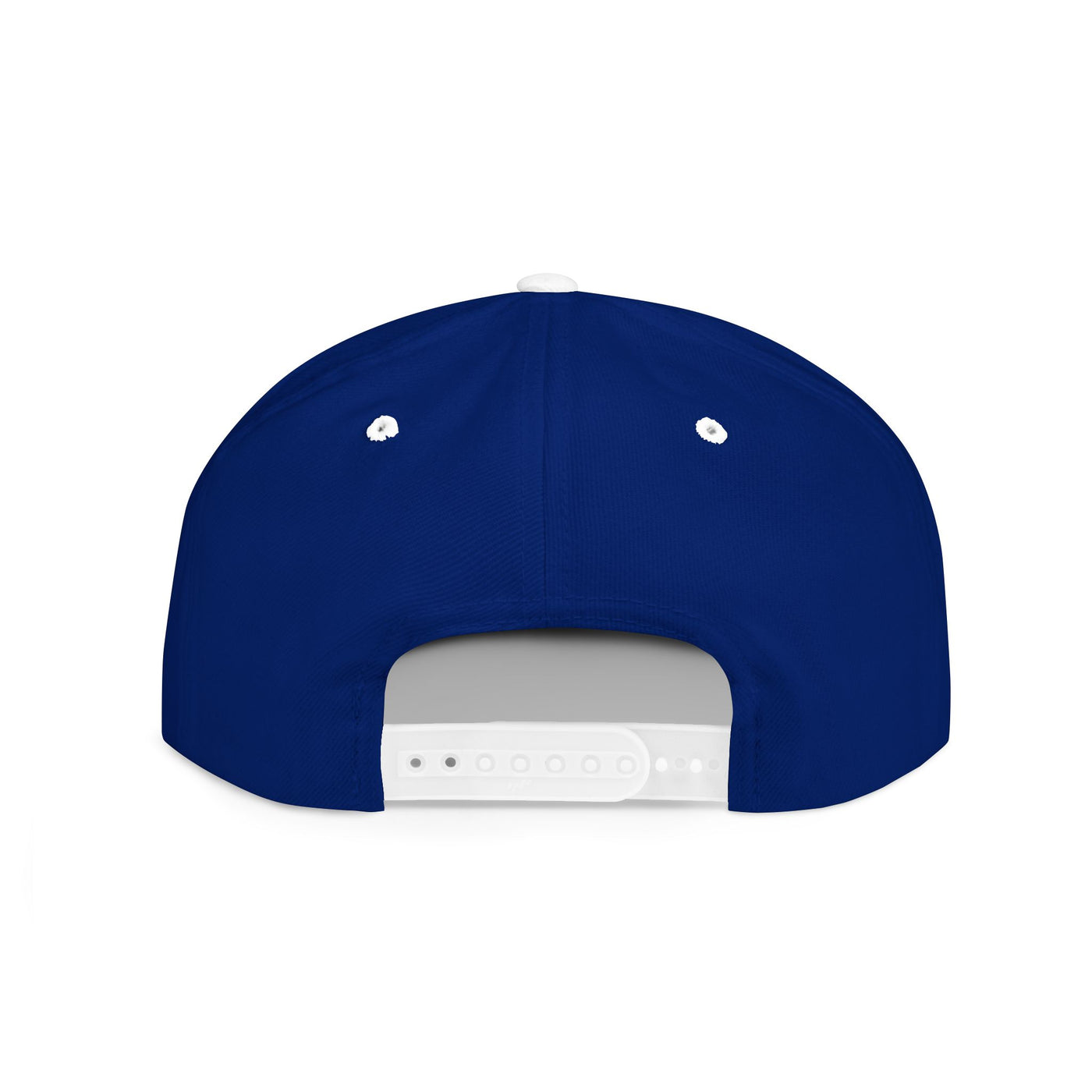 Snapback Cap Progress Drip1