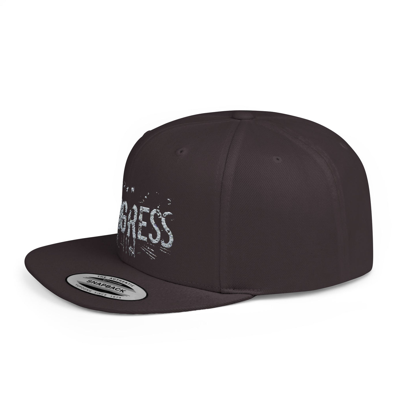 Snapback Cap Progress Drip1