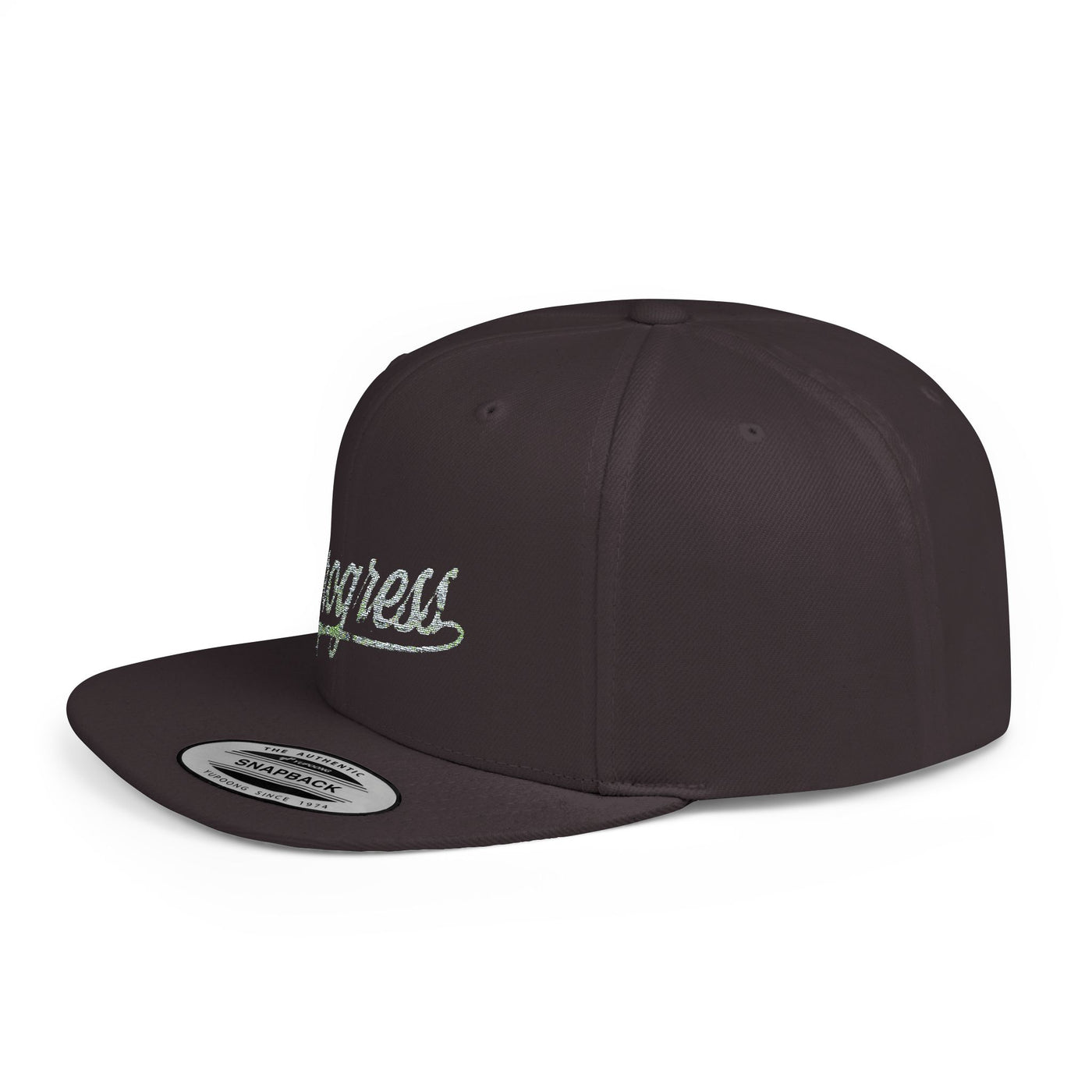 Snapback Cap Progress Drip2