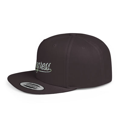 Snapback Cap Progress Drip2