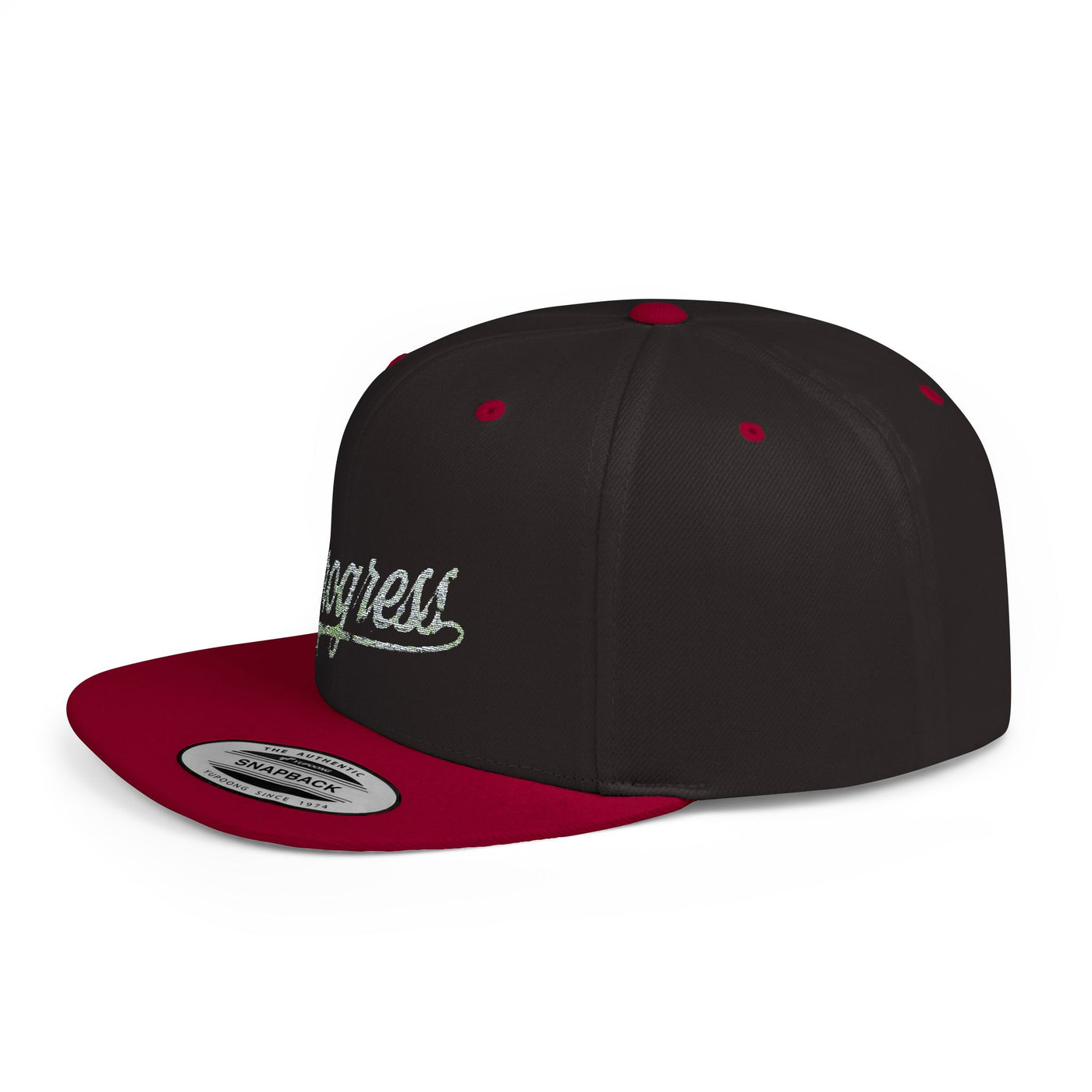 Snapback Cap Progress Drip2